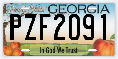 GA license plate PZF2091