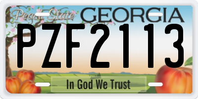 GA license plate PZF2113