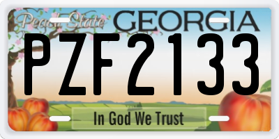 GA license plate PZF2133