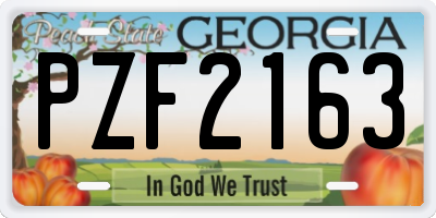 GA license plate PZF2163