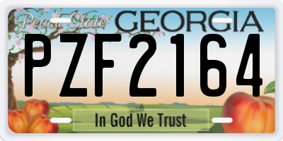GA license plate PZF2164