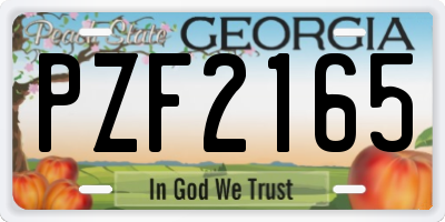 GA license plate PZF2165