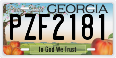 GA license plate PZF2181