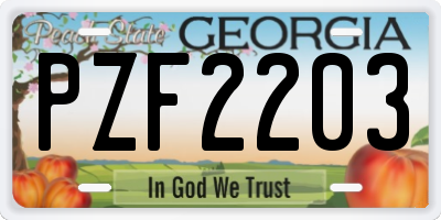 GA license plate PZF2203