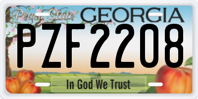 GA license plate PZF2208