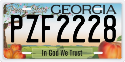 GA license plate PZF2228