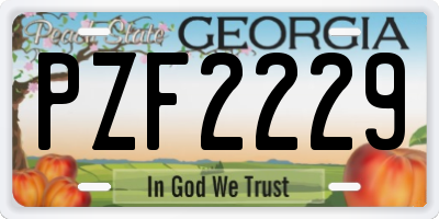 GA license plate PZF2229