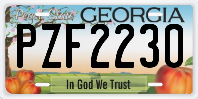GA license plate PZF2230