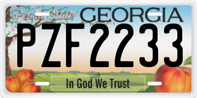 GA license plate PZF2233