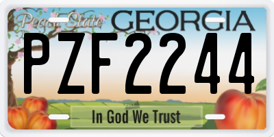 GA license plate PZF2244
