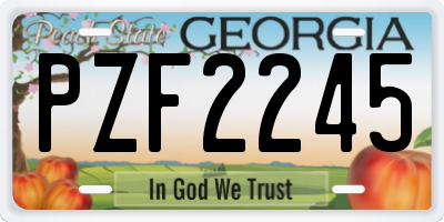 GA license plate PZF2245