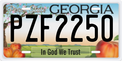 GA license plate PZF2250