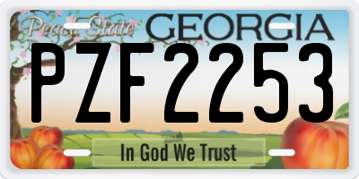 GA license plate PZF2253