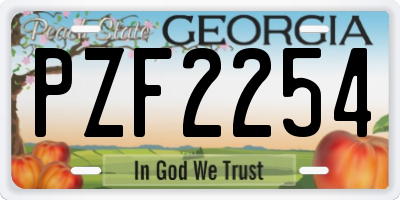 GA license plate PZF2254
