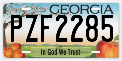 GA license plate PZF2285