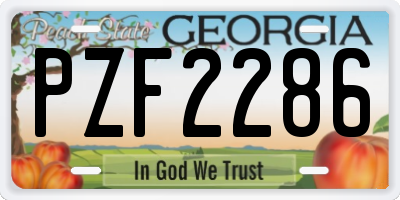 GA license plate PZF2286