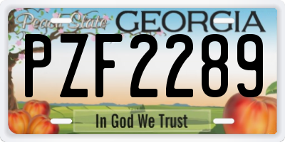 GA license plate PZF2289