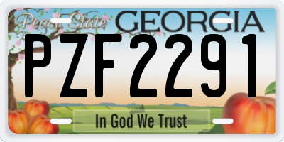 GA license plate PZF2291