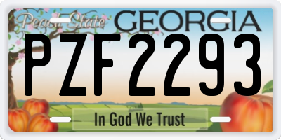 GA license plate PZF2293