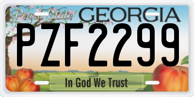 GA license plate PZF2299