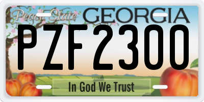 GA license plate PZF2300