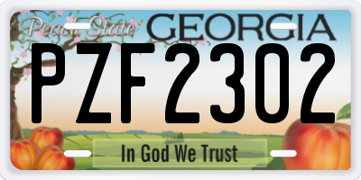 GA license plate PZF2302