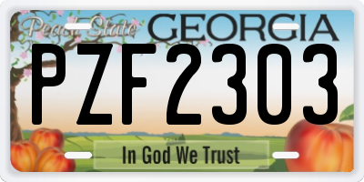 GA license plate PZF2303
