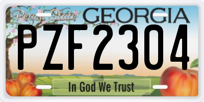 GA license plate PZF2304