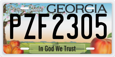 GA license plate PZF2305