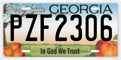 GA license plate PZF2306