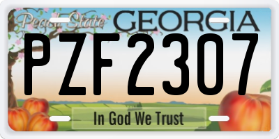 GA license plate PZF2307