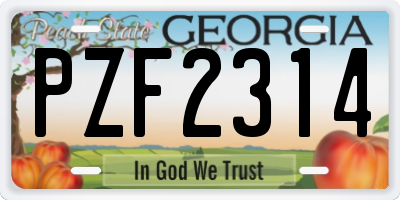 GA license plate PZF2314