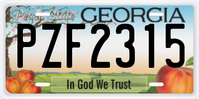 GA license plate PZF2315
