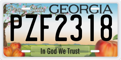 GA license plate PZF2318