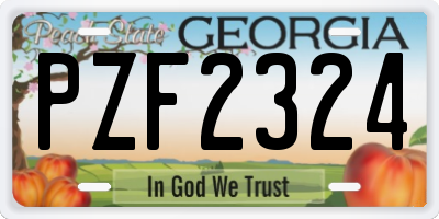 GA license plate PZF2324
