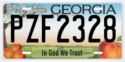 GA license plate PZF2328