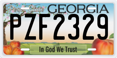 GA license plate PZF2329