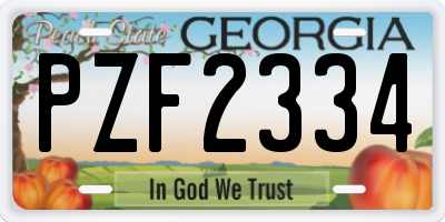 GA license plate PZF2334