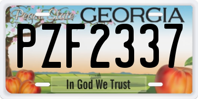 GA license plate PZF2337