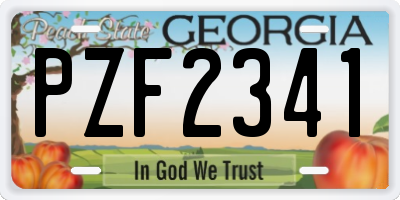 GA license plate PZF2341