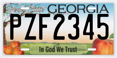GA license plate PZF2345