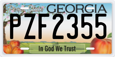 GA license plate PZF2355