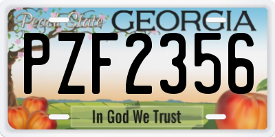 GA license plate PZF2356