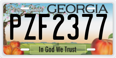 GA license plate PZF2377