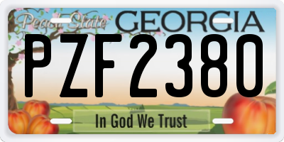 GA license plate PZF2380