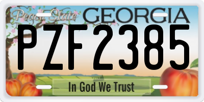 GA license plate PZF2385