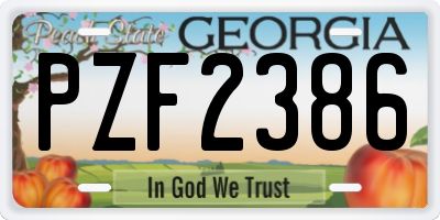 GA license plate PZF2386