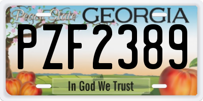 GA license plate PZF2389