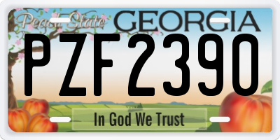 GA license plate PZF2390