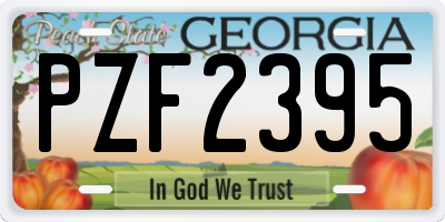 GA license plate PZF2395